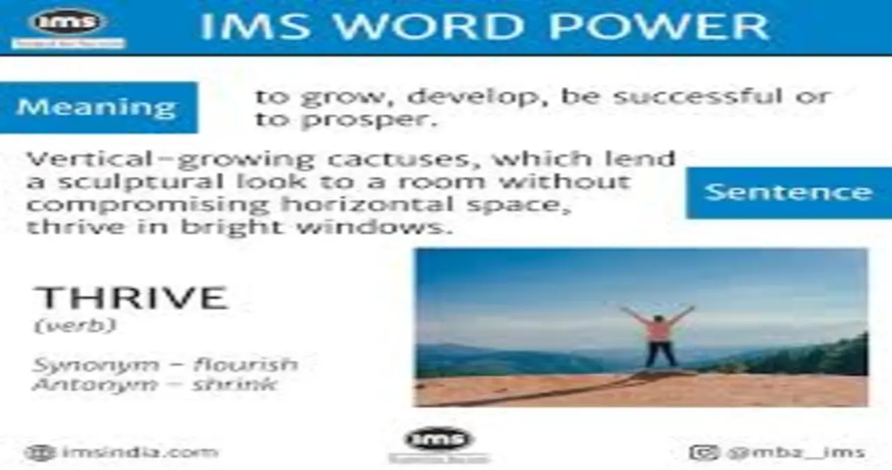IMS Meaning on Instagram: Understanding the Buzzword